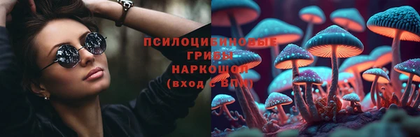 а пвп мука Алзамай