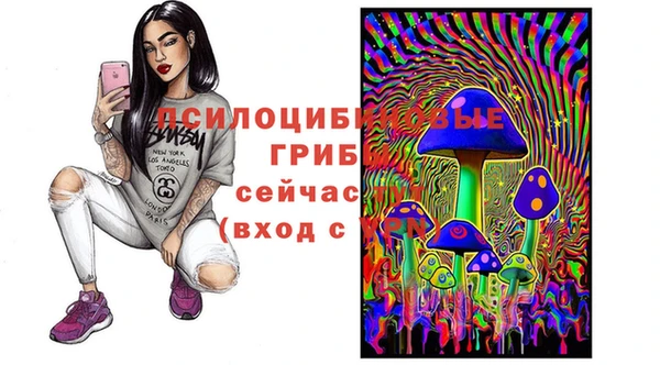 винт Алексин