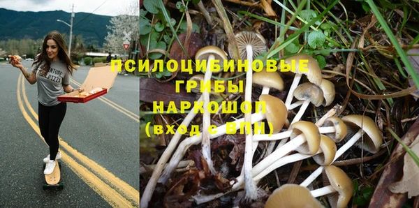 а пвп мука Алзамай