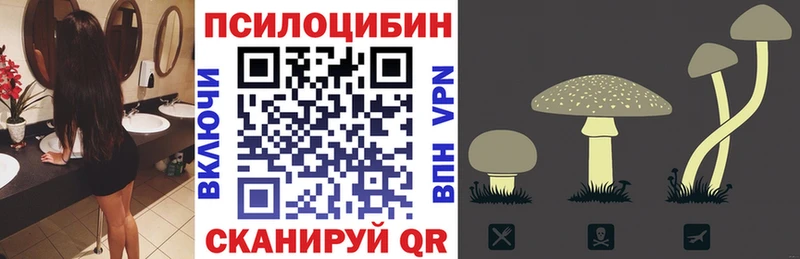 Псилоцибиновые грибы прущие грибы  Лодейное Поле 